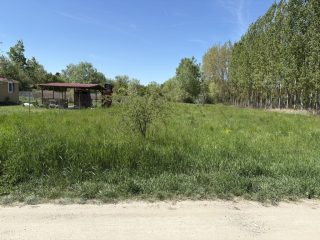 Eladó 1719 m²-estelek Dömsöd, Vadvirág utca: 5'900'000 Ft