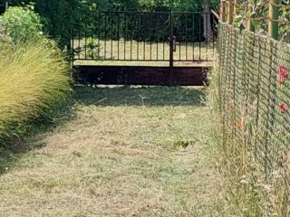 Eladó 746 m²-estelek Dömsöd, Vadvirág utca: 5'900'000 Ft