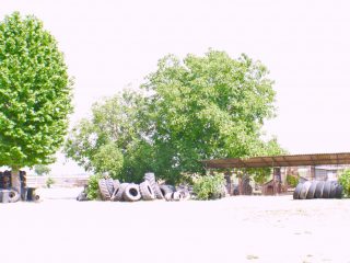 Eladó 1065 m²-esegyéb üzlethelyiség Dömsöd, gumis tanya: 380'000'000 Ft