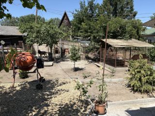 Eladó 27 m²-esüdülő Dömsöd, vizmelletti utca: 23'900'000 Ft