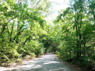 Eladó 768 m²-estelek Dunaharaszti, AVAR utca: 16'000'000 Ft