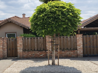 Eladó 80 m²-esikerház Dunaharaszti, kertvárosi övezet: 119'000'000 Ft