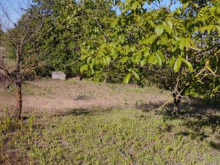 Eladó 1381 m²-estelek Dunaharaszti, vonat közeli utca: 34'990'000 Ft