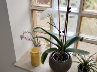 Eladó 160 m²-escsaládi ház Dunakeszi, Alag: 229'000'000 Ft