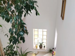 Eladó 160 m²-escsaládi ház Dunakeszi, Alag: 229'000'000 Ft