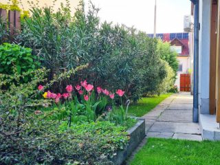 Eladó 140 m²-essorház Dunakeszi, Kazinczy Ferenc utca: 136'800'000 Ft