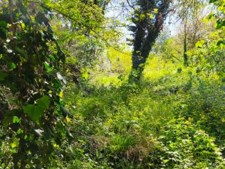 Eladó 1143 m²-estelek Dunakeszi, Kenu köz: 105'000'000 Ft