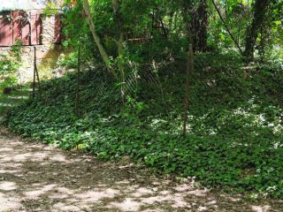 Eladó 1143 m²-estelek Dunakeszi, Kenu köz: 105'000'000 Ft