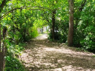 Eladó 1143 m²-estelek Dunakeszi, Kenu köz: 105'000'000 Ft