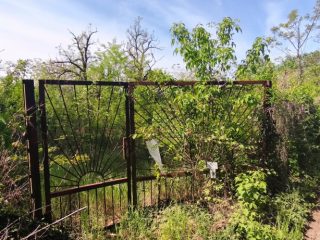 Eladó 1143 m²-estelek Dunakeszi, Kenu köz: 105'000'000 Ft