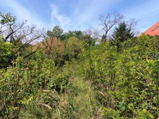 Eladó 1143 m²-estelek Dunakeszi, Kenu köz: 105'000'000 Ft