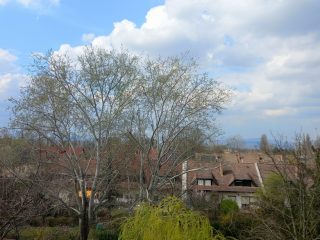 Eladó 90 m²-estársasházi lakás Dunakeszi, Madách lakópark: 109'000'000 Ft