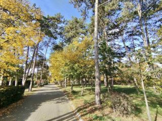 Eladó 200 m²-escsaládi ház Dunakeszi, Újszerű családi ház frekventált helyen eladó!: 245'000'000 Ft