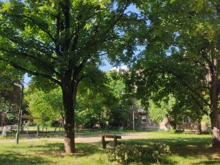 Eladó 50 m²-estársasházi lakás Dunaújváros, Esze Tamás utca: 33'500'000 Ft