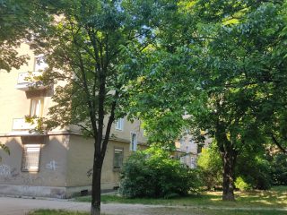 Eladó 50 m²-estársasházi lakás Dunaújváros, Esze Tamás utca: 33'500'000 Ft