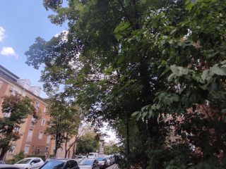 Eladó 52 m²-estársasházi lakás Dunaújváros, Esze Tamás utca: 42'500'000 Ft