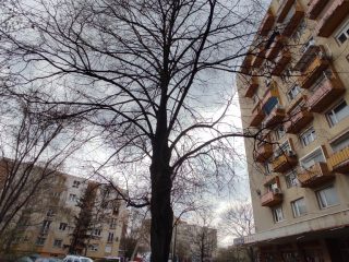 Eladó 59 m²-estársasházi lakás Dunaújváros, Köztársaság utca: 32'900'000 Ft