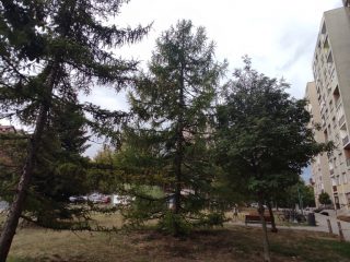 Eladó 52 m²-estársasházi lakás Dunaújváros, Vasmű út: 33'500'000 Ft