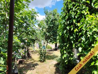 Eladó 130 m²-escsaládi ház Ecséd, Táncsics Mihály utca: 38'900'000 Ft