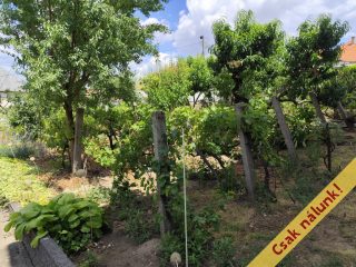 Eladó 130 m²-escsaládi ház Ecséd, Táncsics Mihály utca: 38'900'000 Ft