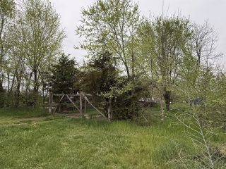 Eladó 1000 m²-esmezőgazdasági ingatlan Ecser, Ecser belterületétől pár percre lévő utca: 11'900'000 Ft