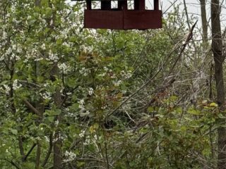 Eladó 1000 m²-esmezőgazdasági ingatlan Ecser, Ecser belterületétől pár percre lévő utca: 11'900'000 Ft