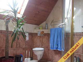 Eladó 340 m²-escsaládi ház Érd (Fenyves Parkváros) , Fenyves Parkvárosban található utca: 147'900'000 Ft