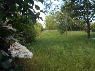 Eladó 1389 m²-estelek Érd, Judit utca: 14'900'000 Ft