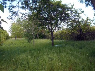 Eladó 1389 m²-estelek Érd, Judit utca: 14'900'000 Ft