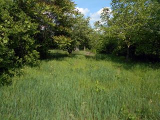 Eladó 1389 m²-estelek Érd, Judit utca: 14'900'000 Ft