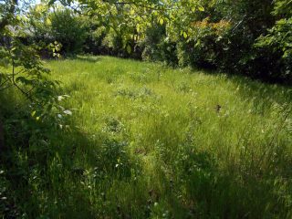 Eladó 1389 m²-estelek Érd, Judit utca: 14'900'000 Ft