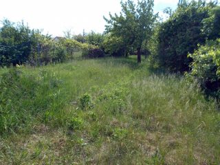 Eladó 1389 m²-estelek Érd, Judit utca: 14'900'000 Ft