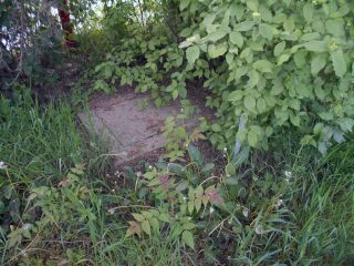 Eladó 1389 m²-estelek Érd, Judit utca: 14'900'000 Ft