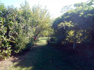 Eladó 168 m²-escsaládi ház Érd (Ófalu) , Júlia utca környékén utca: 79'900'000 Ft