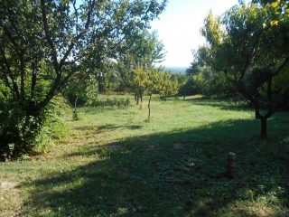 Eladó 168 m²-escsaládi ház Érd (Ófalu) , Júlia utca környékén utca: 79'900'000 Ft