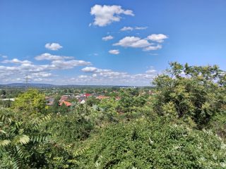 Eladó 160 m²-escsaládi ház Érd (Ófalu) , Kálvária utca közelében utca: 109'000'000 Ft