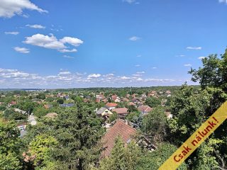 Eladó 743 m²-estelek Érd (Ófalu) , Tárcsázó utca Szántó utca között utca: 40'000'000 Ft