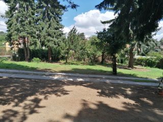 Eladó 1490 m²-estelek Érd, Tárnoki u. közelében: 78'000'000 Ft