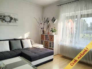 Eladó 83 m²-escsaládi ház Érd (Vincellér) , Borneves utca: 125'000'000 Ft