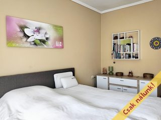 Eladó 83 m²-escsaládi ház Érd (Vincellér) , Borneves utca: 125'000'000 Ft