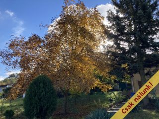 Eladó 125 m²-escsaládi ház Esztergom, Hegyalja utca: 109'000'000 Ft