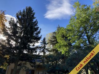 Eladó 125 m²-escsaládi ház Esztergom, Hegyalja utca: 109'000'000 Ft