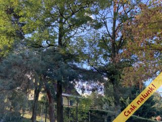 Eladó 125 m²-escsaládi ház Esztergom, Hegyalja utca: 109'000'000 Ft