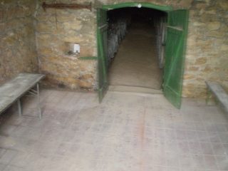 Eladó 0 m²-esmezőgazdasági ingatlan Etyek, Körpince utca: 16'000'000 Ft