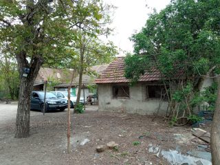 Eladó 3093 m²-esmezőgazdasági ingatlan Felsőpakony, 060/2 utca: 59'890'000 Ft