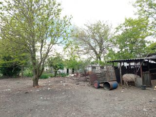 Eladó 3093 m²-esmezőgazdasági ingatlan Felsőpakony, 060/2 utca: 59'890'000 Ft