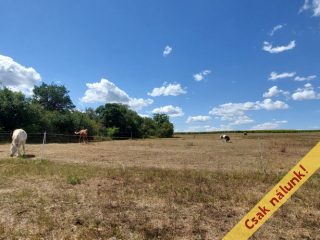 Eladó 43 m²-escsaládi ház Felsőpetény, Csokonai utca utca: 32'900'000 Ft