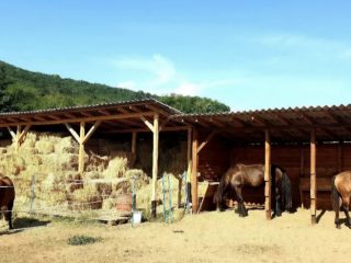 Eladó 10069 m²-estelek Fót, Őzike utca: 95'000'000 Ft