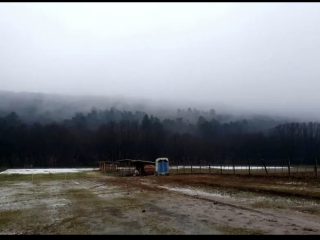 Eladó 10069 m²-estelek Fót, Őzike utca: 95'000'000 Ft