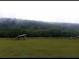 Eladó 10069 m²-estelek Fót, Őzike utca: 95'000'000 Ft